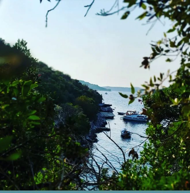 Fishing in Vis Island