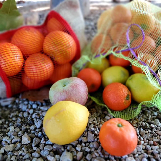 Bag of citrus from a Valencian Farm